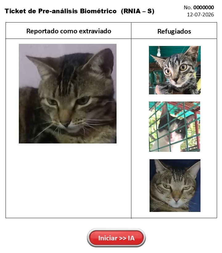 Análisis biométrico